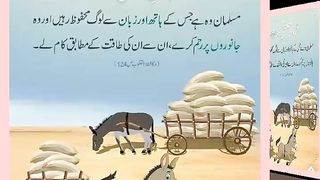 اسلامی معلومات Like share follow