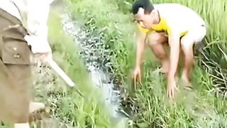 kesetrum litrik di sawah