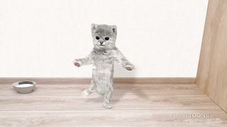 Two dancing cats