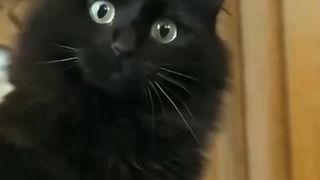 Titanic new vision video
