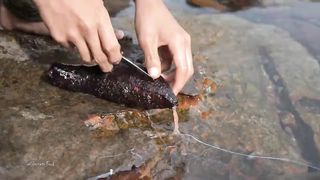 Морские огурцы (Трепанги) _ Почему они такие дорогие.