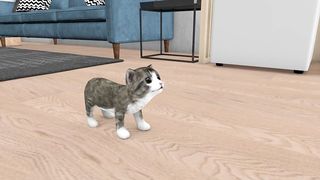 Naughty cat