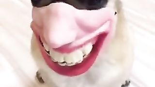 FUNNY