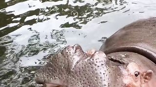 Amazing video ????