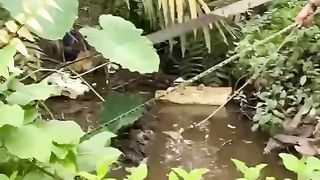 Be careful if you like fishing ⚠️