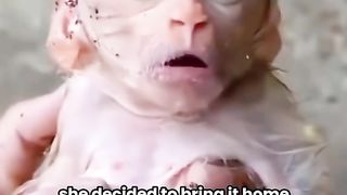 funny videos of Pja