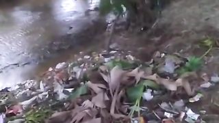 Amazing video ????