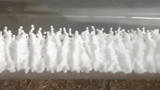 Пенопластовые частички под действием звуковых колебаний.