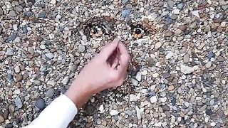 Amazing videos vol 467