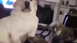 He intimidated the whole family. What would you do about it?