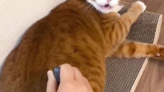 Fake tool prank