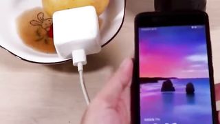Potato charger