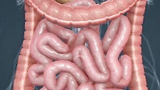 Bahaya, Jangan Tidur setelah makan #tipskesehatan #healthy #faktaunik