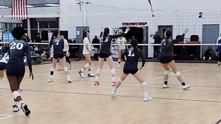 Wild Volleyball Rally