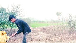 Jai Mata Di ???? ||. #viral #trending