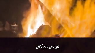 نصرت فت علی