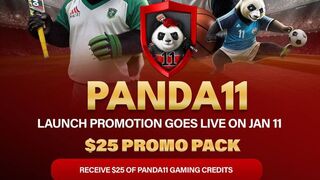 «Перед запуском проекта Panda11»