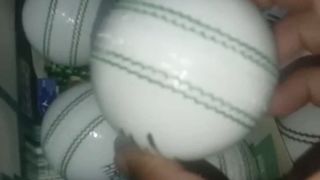 Onday Cricket Hard Balls