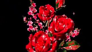 New   video foryou #fyp #viral #1M #ajmal #raza #qadri #itz_usman_editx#febdport#shortfeed