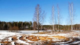 КЛАССНАЯ ЛИРИКА ПРО ЗИМУ!