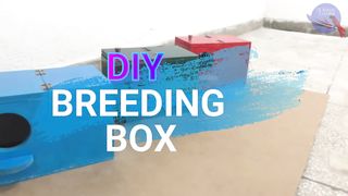 03 BREEDING BOX MAKING