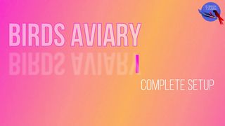 08 BIRDS AVIARY
