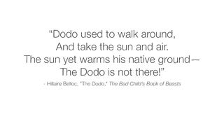 The real reason dodo birds went extinct - Leon Claessens