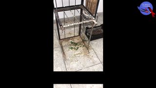 13 FEED STAND MODIFICATION