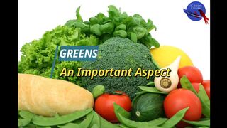 17 BASKET FOR GREENS