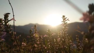 Beautiful Sunrise In The Morning