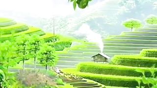 A typical Indonesian Sundanese flute