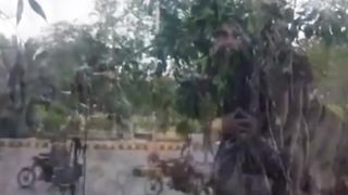 Karachi Clifton An ancient banyan tree was cut down in