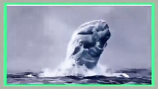 اللہ تعالی کی بہت بڑی بڑی مخلوق سمندر میں رہتی ہے