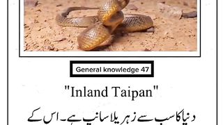 General knowledge ????