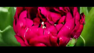David_Guetta,_Bebe_Rexha___J_Balvin_-_Say_My_Name__Official_Video_(360p).