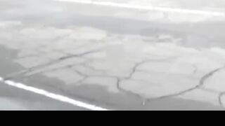 Ridiculous Incident vol 278