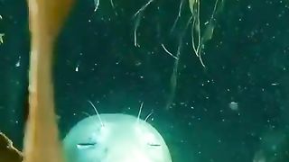 Sleeping time in depth of sea