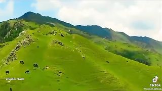 kashmir_culture_l_beautiful_palace_