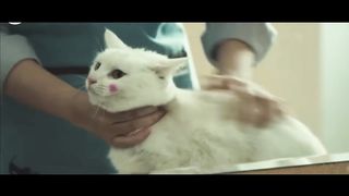 Девушка приютила бездомную кошку, но не подозревает, что это замаскированный дем.