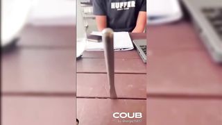 10 МИНУТ ПРИКОЛОВ _ ТЕСТ НА ПСИХИКУ _ ЛУЧШИЕ ПРИКОЛЫ