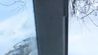 наша лебедь Марго просто видела как кот домой заходит когда окошко открыто.