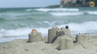 Если вы увидите это в океане, у вас есть секунды, чтобы убежать.