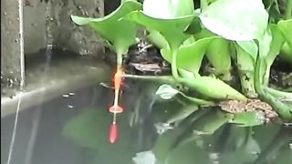 Fishing