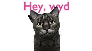 send this to your group chat