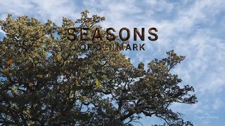 Spring On Denmark