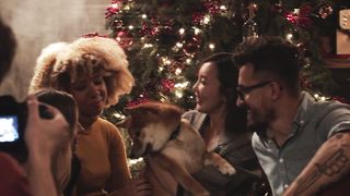 "Dog Days Delight: Wagging Tails and Heartfelt Tales of Furry Friendship"
