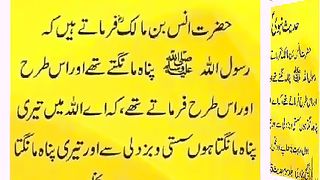 اسلامی معلومات Like share follow