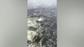 Такого Никто не Ожидал! Случаи 1 на Миллион Снятые на Камеру.m