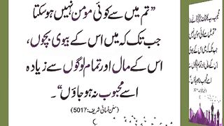 اسلامی معلومات Like share follow