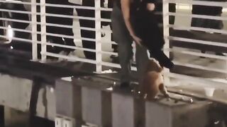not all heroes wear capes